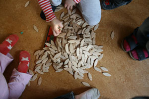 die Anzeige einer roten Elektrowaage schaut unter einem Haufen Lamello Dübel hrvor